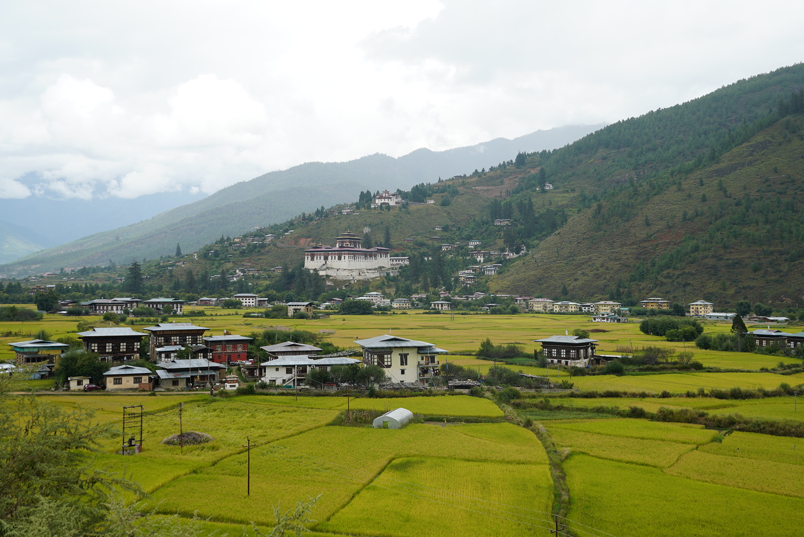 Dechenphu festival