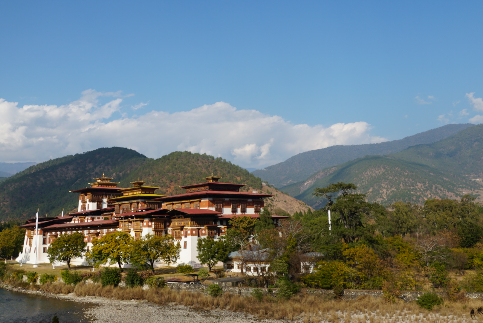 Festival in Bhutan