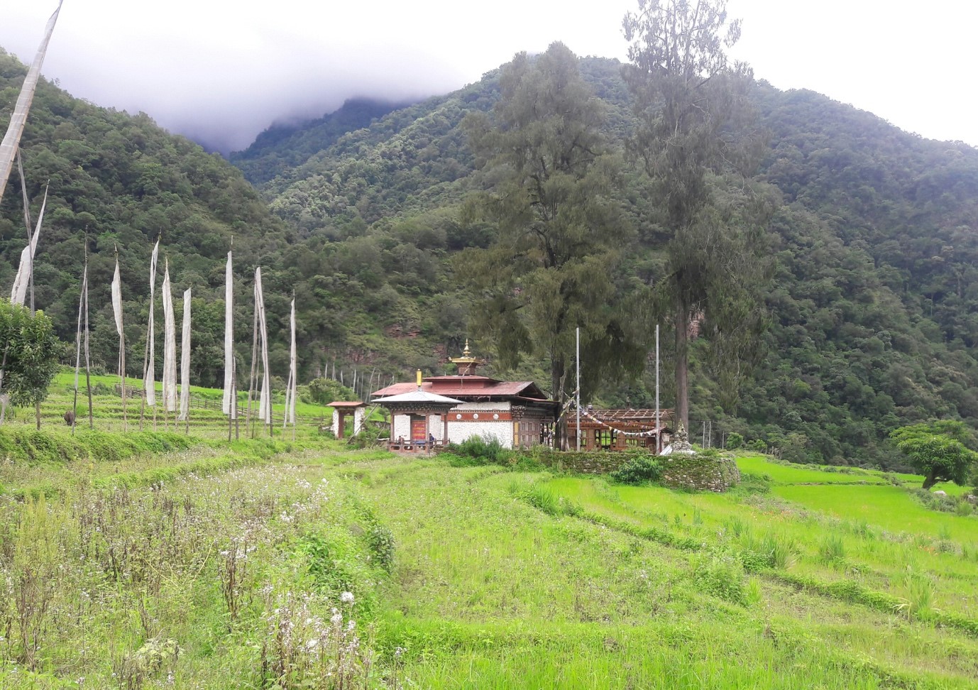 Nabji Lhakhang Drup - Amedewa Tours and Trek