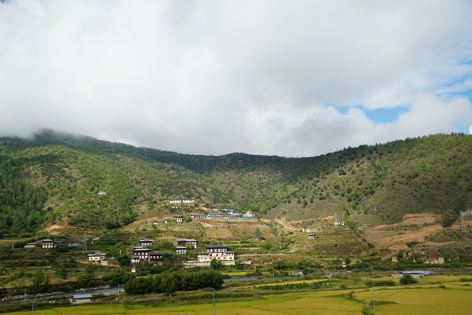 Paro festival