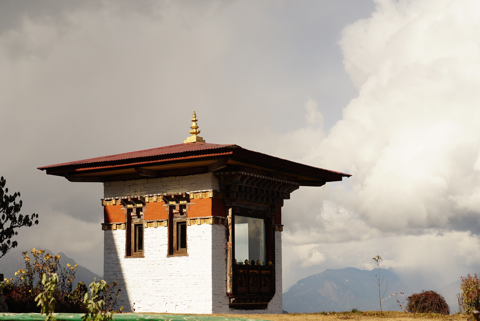 Paro festival