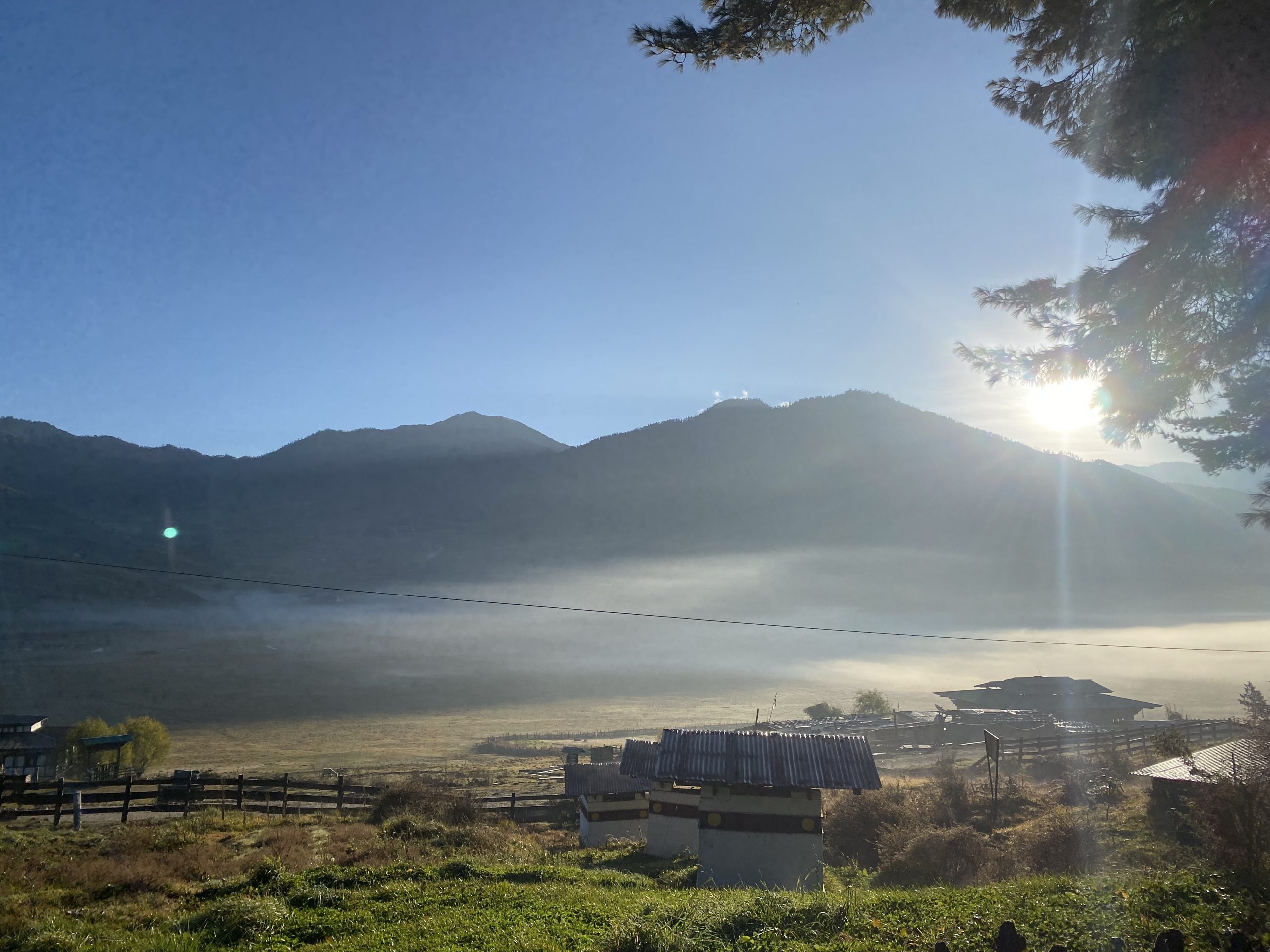 Festivals in Bhutan 