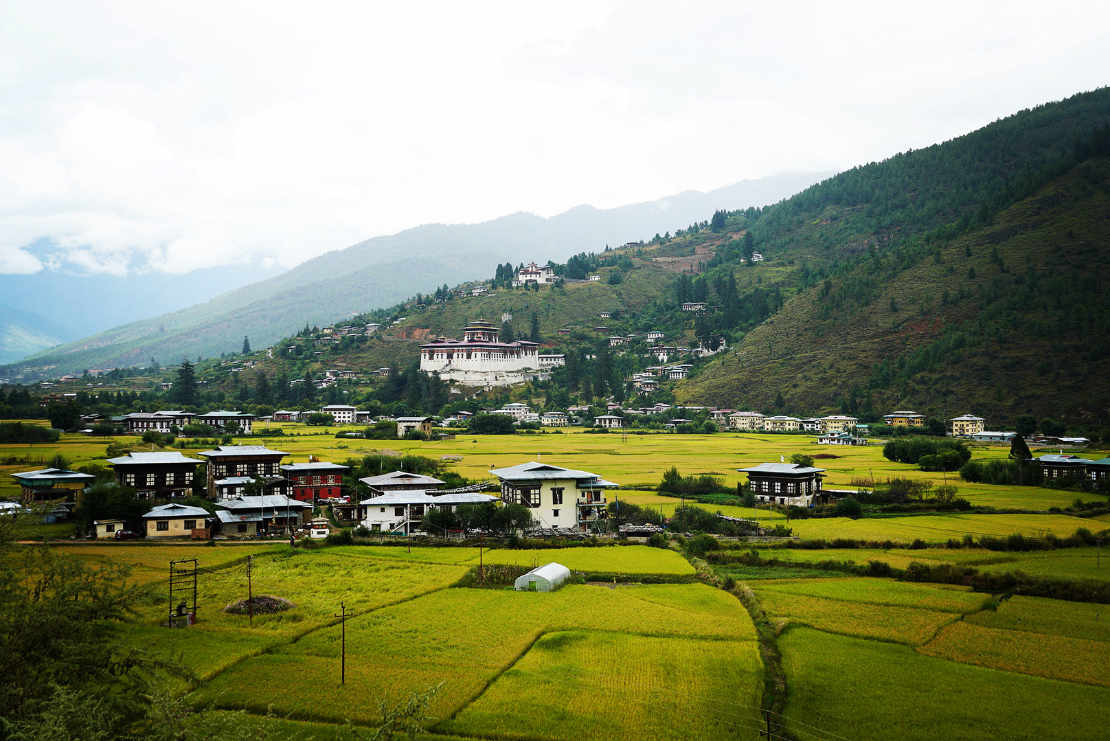 Festivals in Bhutan